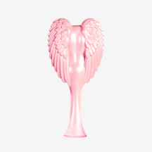 브러쉬